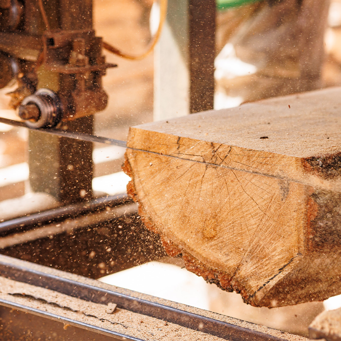 log being cut with a saw